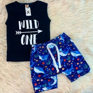 Boys boutique outfit set
